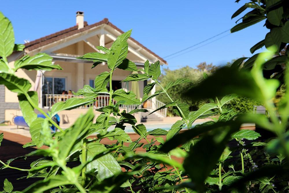 Maison Les Coquelicots Lyon Eksteriør bilde